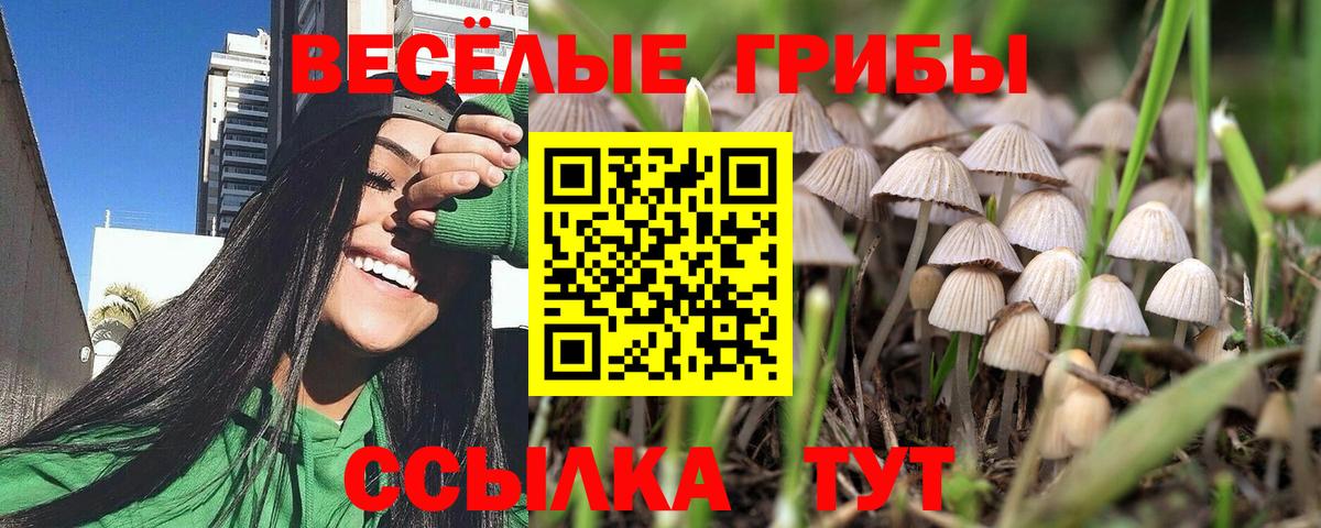 Псилоцибиновые грибы MAGIC MUSHROOMS  Псилоцибиновые грибы Cubensis  Вход с VPN  Иркутск 